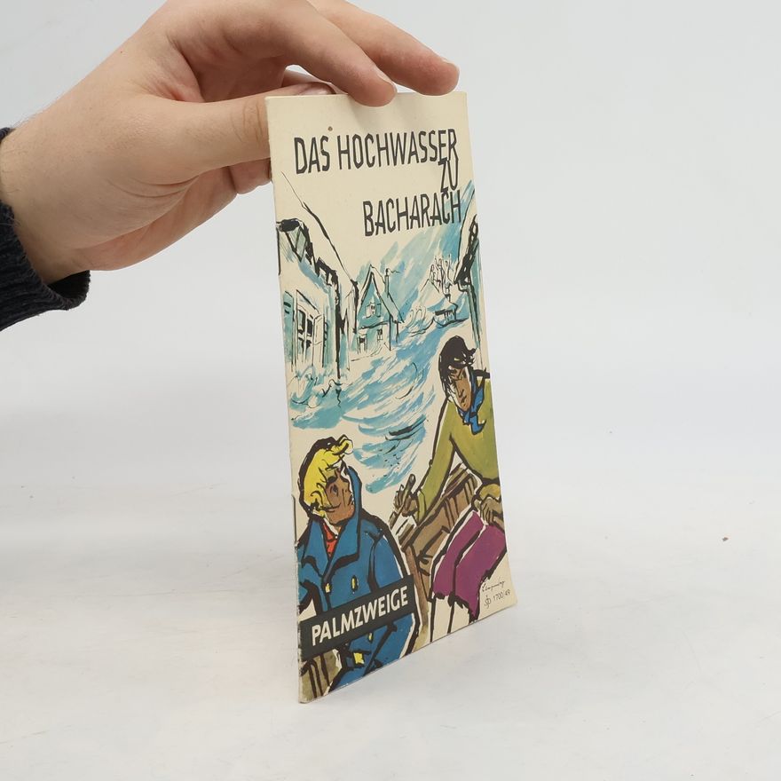 Autorenkollektiv Das Hochwasser Bacharach