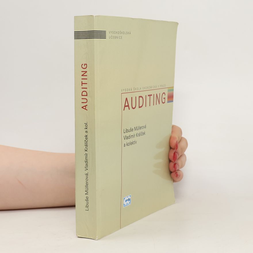 Vladimír Králíček Auditing
