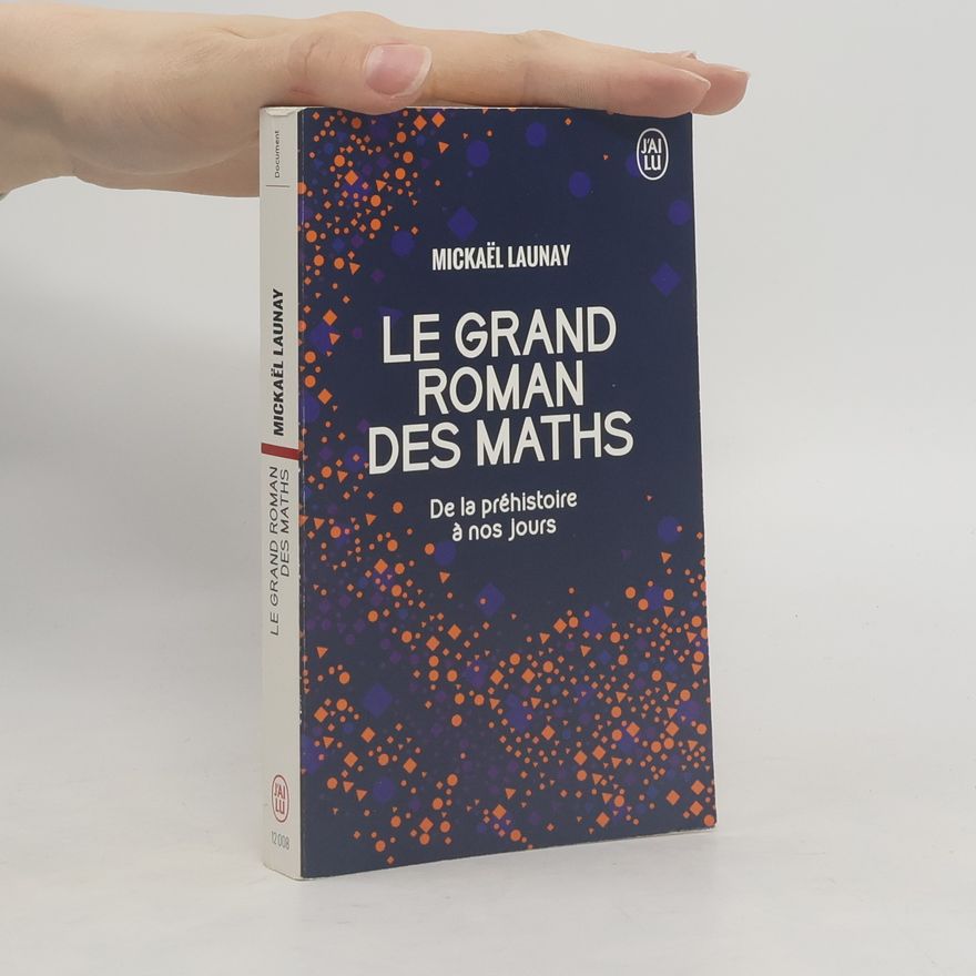 Mickaël Launay Le grand Roman des Maths