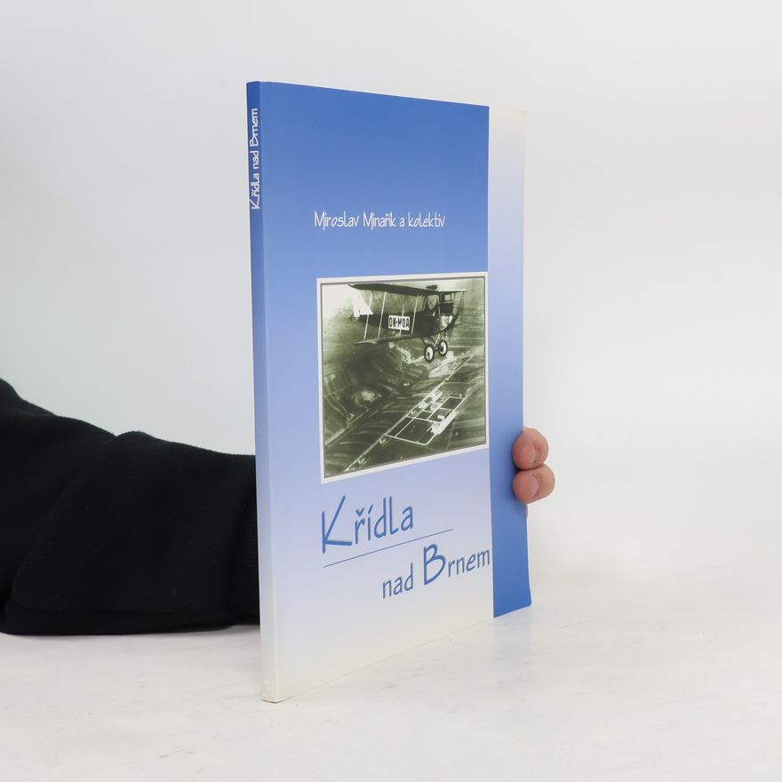 Miroslav Minárik Křídla nad Brnem