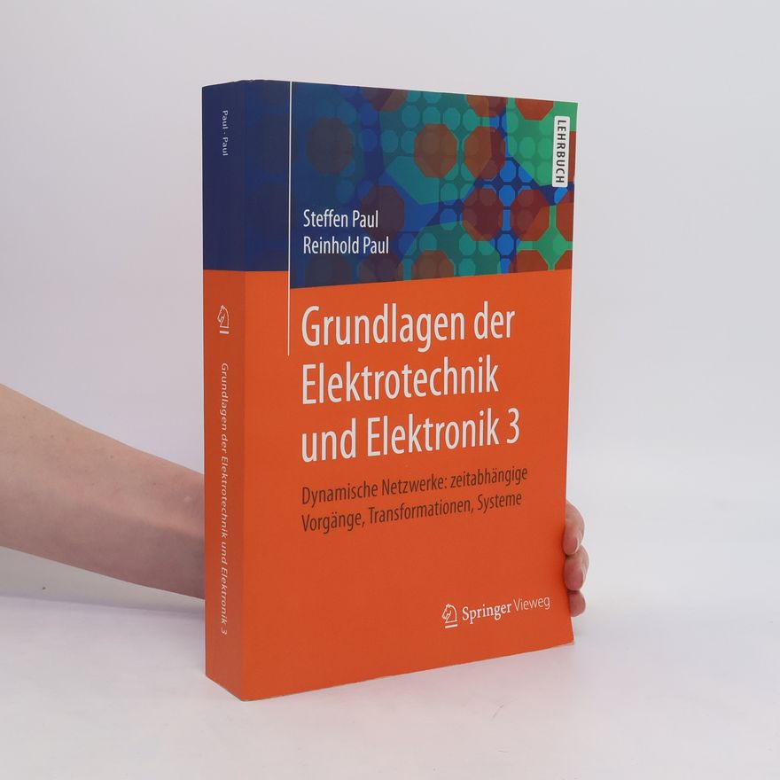 Steffen Paul Dynamische Netzwerke: zeitabhängige Vorgänge, Transformationen, Systeme
