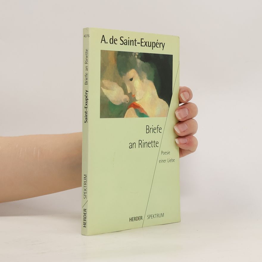 Antoine de Saint-Exupéry Briefe an Rinette