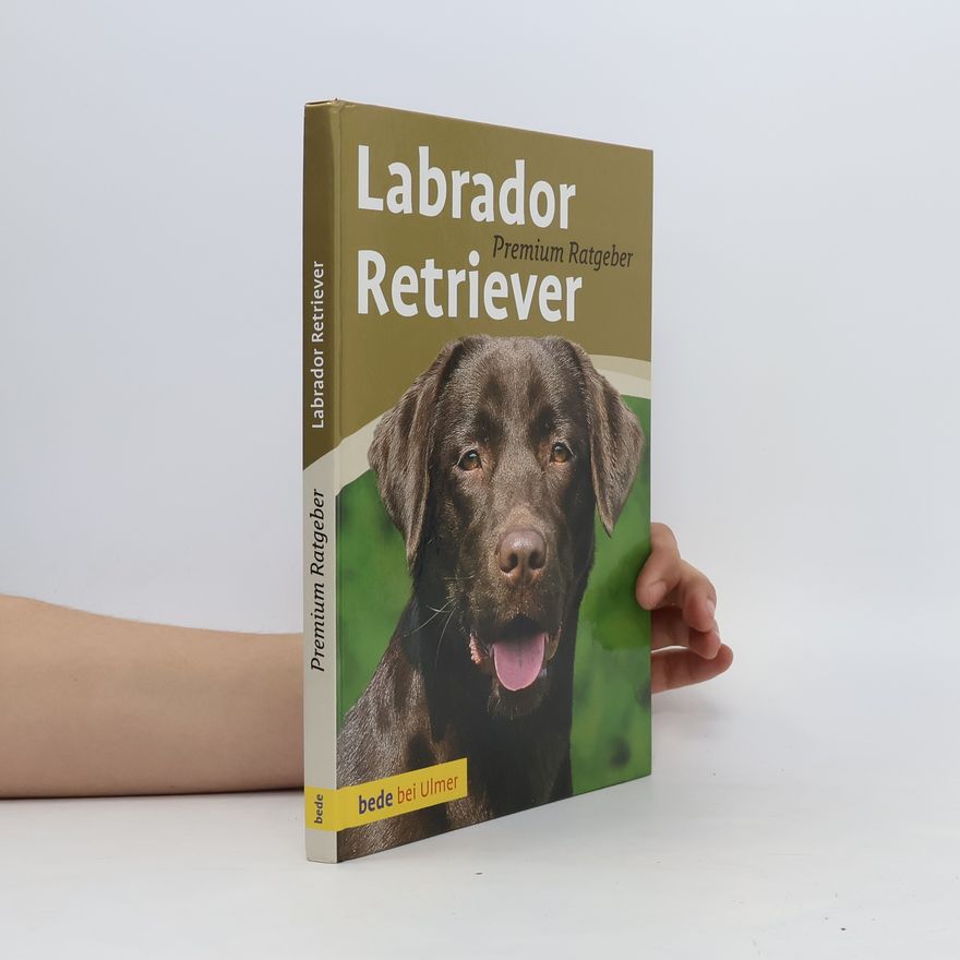 Annette Schmitt Labrador Retriever