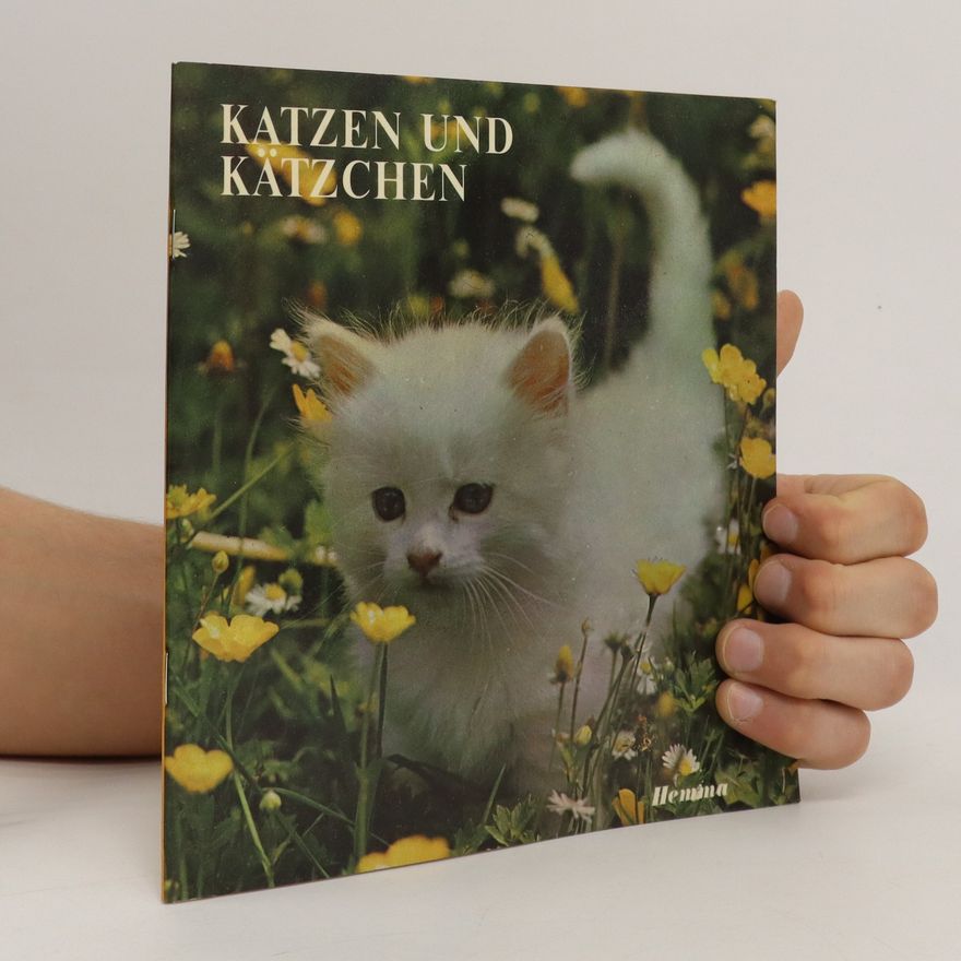 Various authors Katzen und Kätzchen