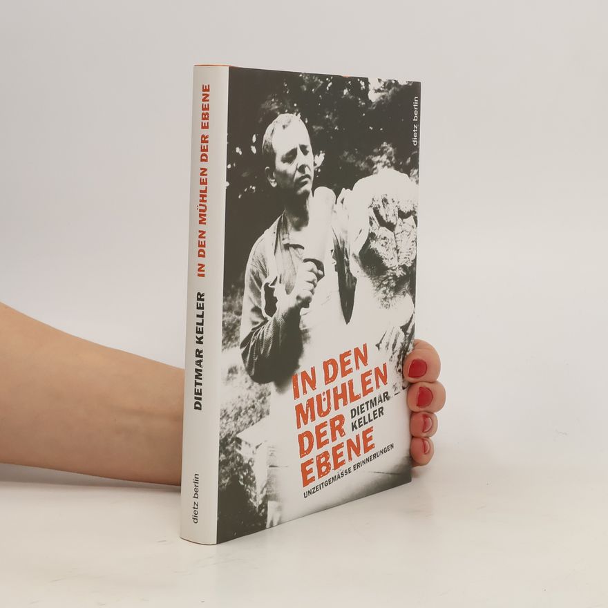 Dietmar Keller In den Mühlen der Ebene