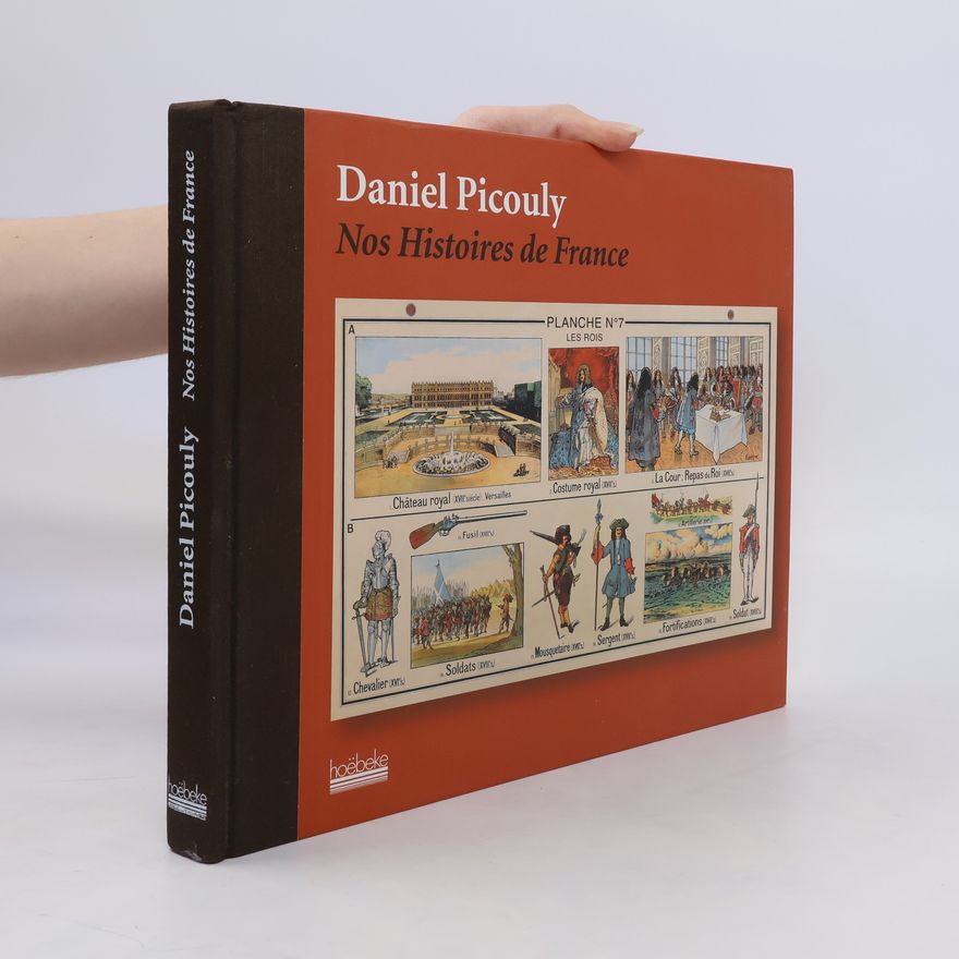 Daniel Picouly Nos histoires de France