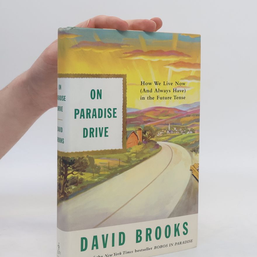 David Brooks On Paradise Drive