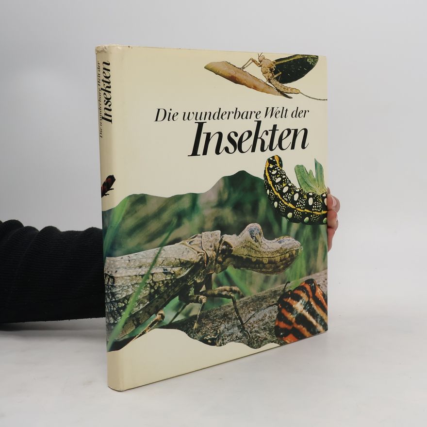 Michel Haguenoer Die wunderbare Welt der Insekten