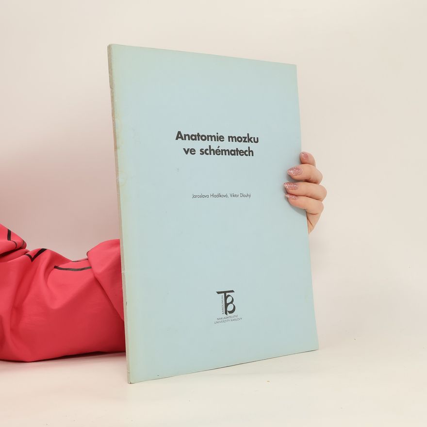 Viktor Dlouhý Anatomie mozku ve schématech