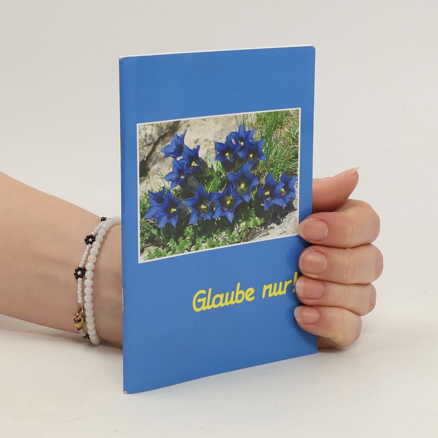 Autorenkollektiv Glaube nur!