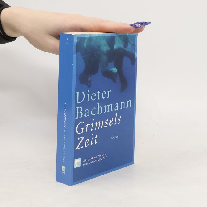 Dieter Bachmann Grimsels Zeit