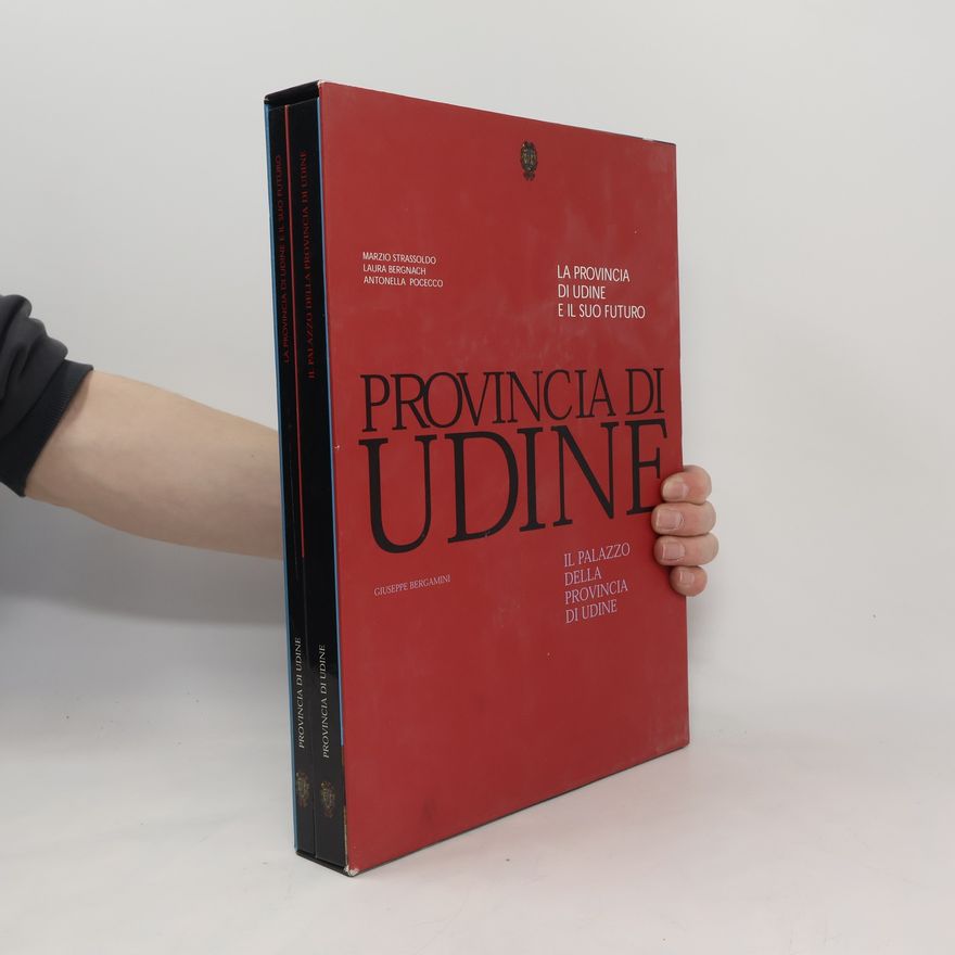Giuseppe Bergamini Il Palazzo Della Provincia Di Udine. La provincia di udine e il suo futuro