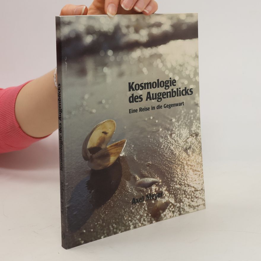 Axel Meyer Kosmologie des Augenblicks