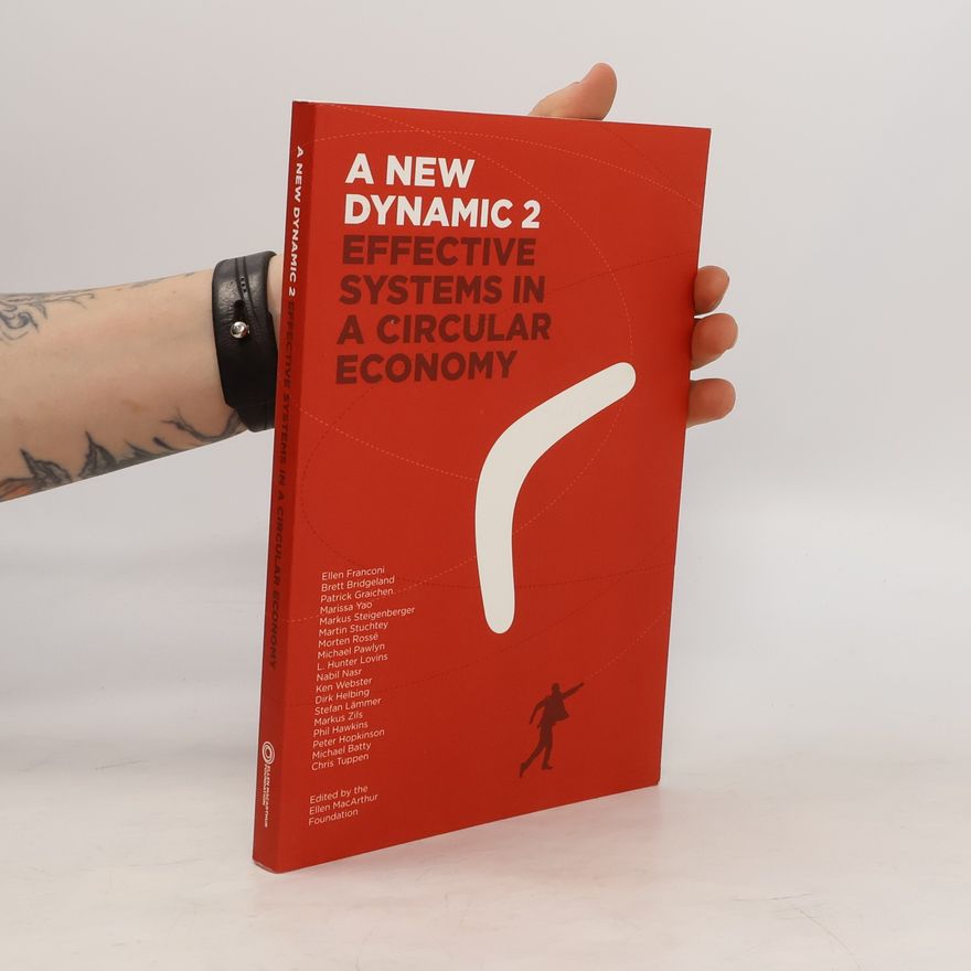 Kolektiv autorů A New Dynamic 2. Effective Systems in a Circular Economy
