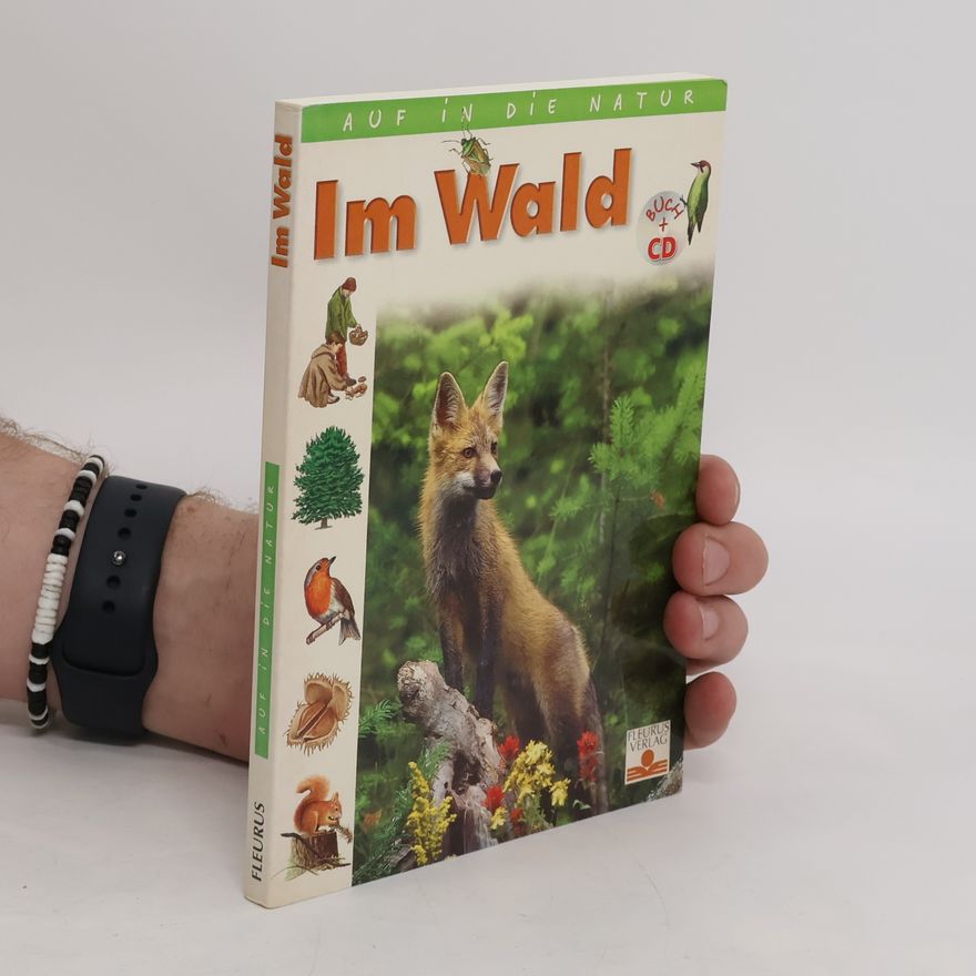 kolektiv Im Wald