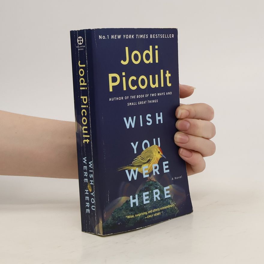 Jodi Picoult Wish You Were Here