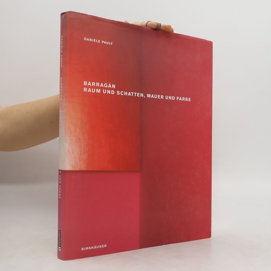 Danièle Pauly Barragán - Raum und Schatten, Mauer und Farbe