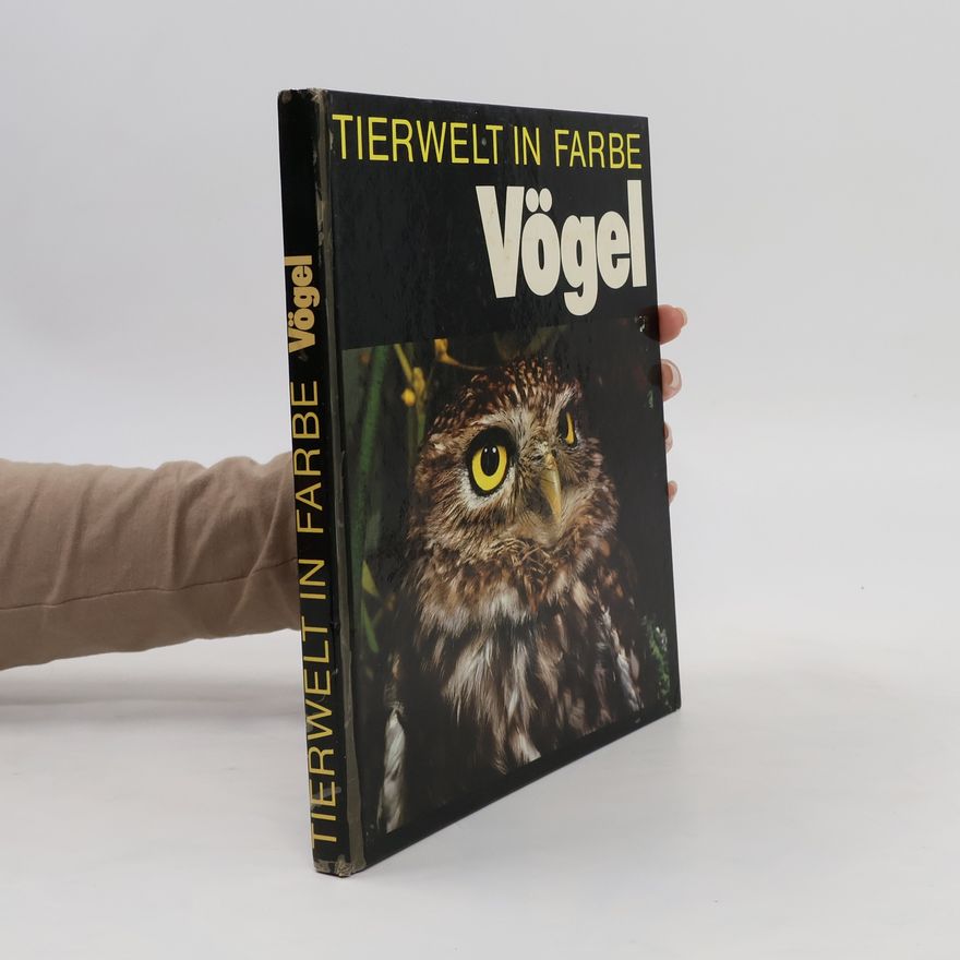 Autorenkollektiv Tierwelt in Farbe Vögel