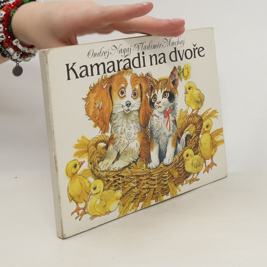 Jozef Junas Kamaráti na dvore