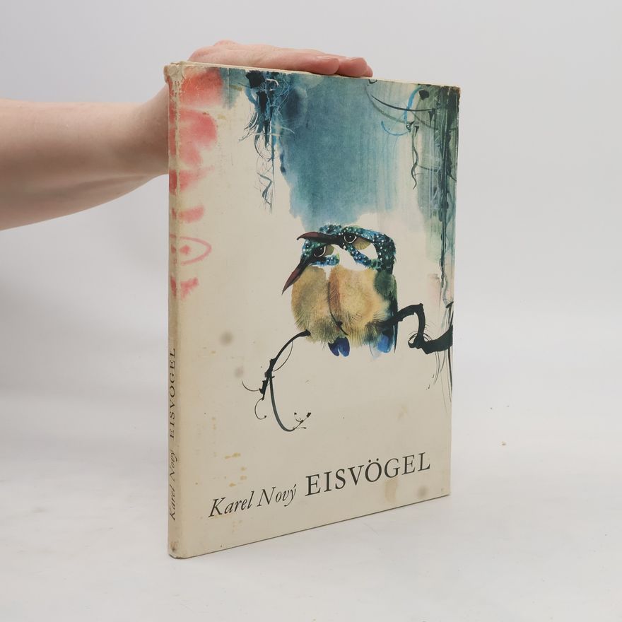 Karel Nový Eisvögel