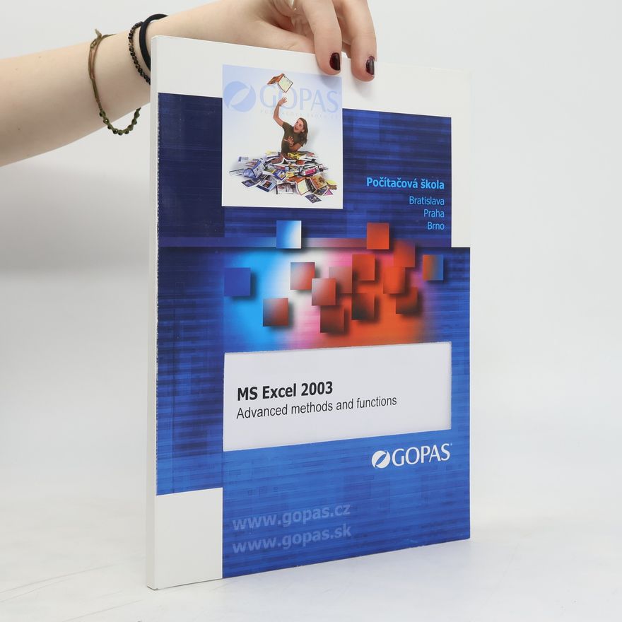 Kolektiv autorů MS Excel 2003. Pokročilé metody a funkce