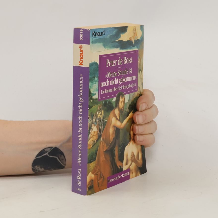 Peter de Rosa Meine Stunde ist noch nicht gekommen