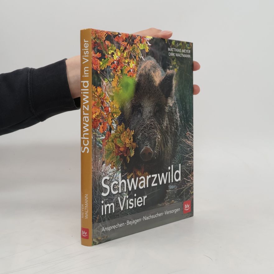 Matthias Meyer Schwarzwild im Visier