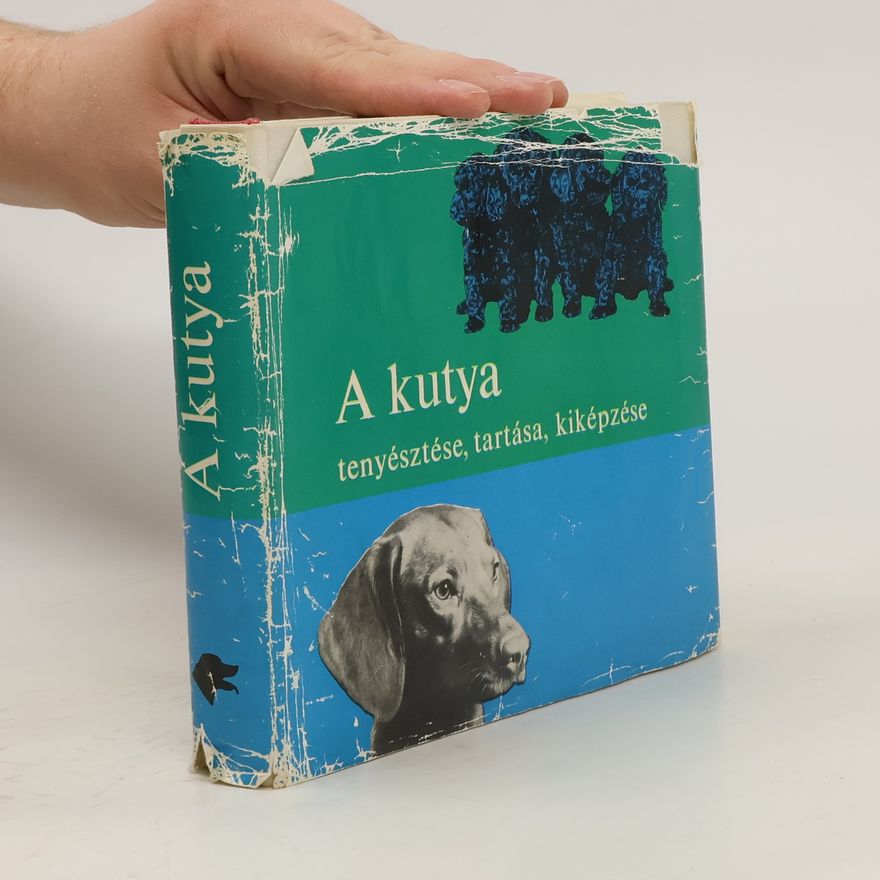 Various authors A Kutya