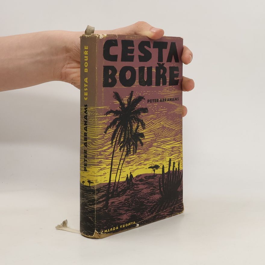 Peter Abrahams Cesta bouře