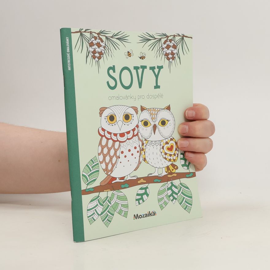 AA.VV. Sovy - omalovánky pro dospělé