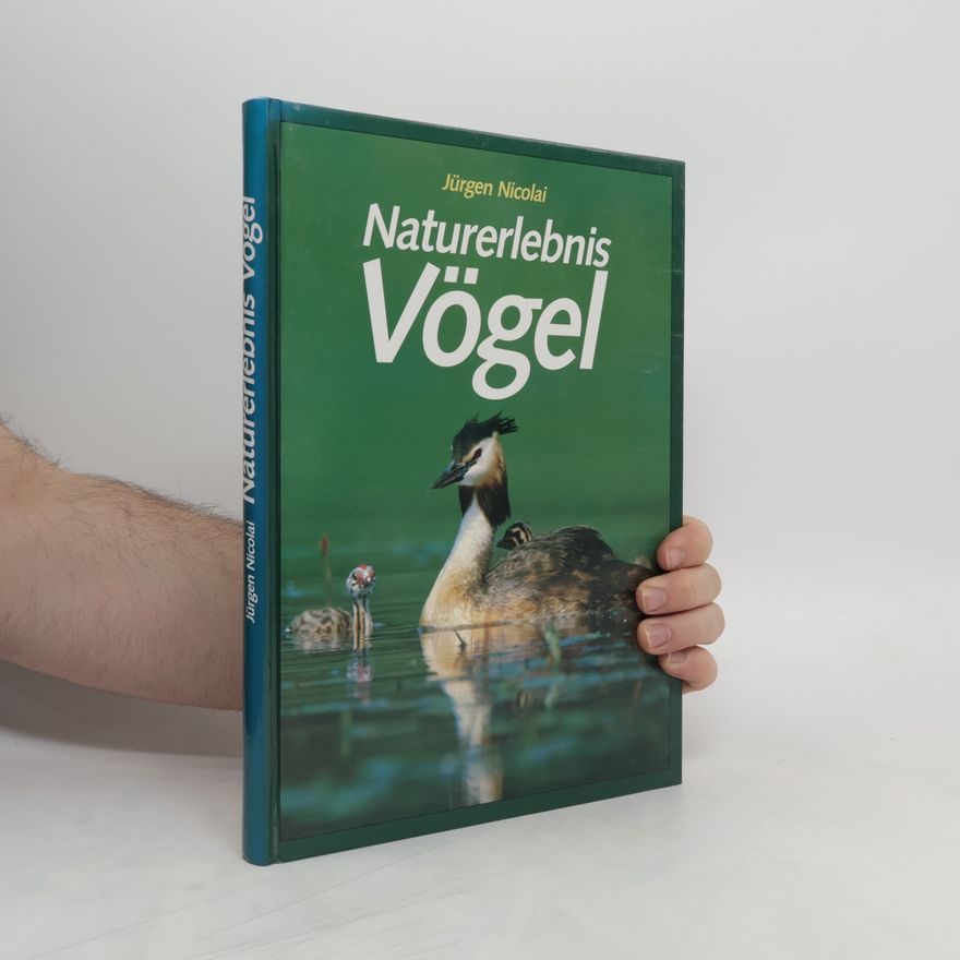 Jürgen Nicolai Naturerlebnis Vögel