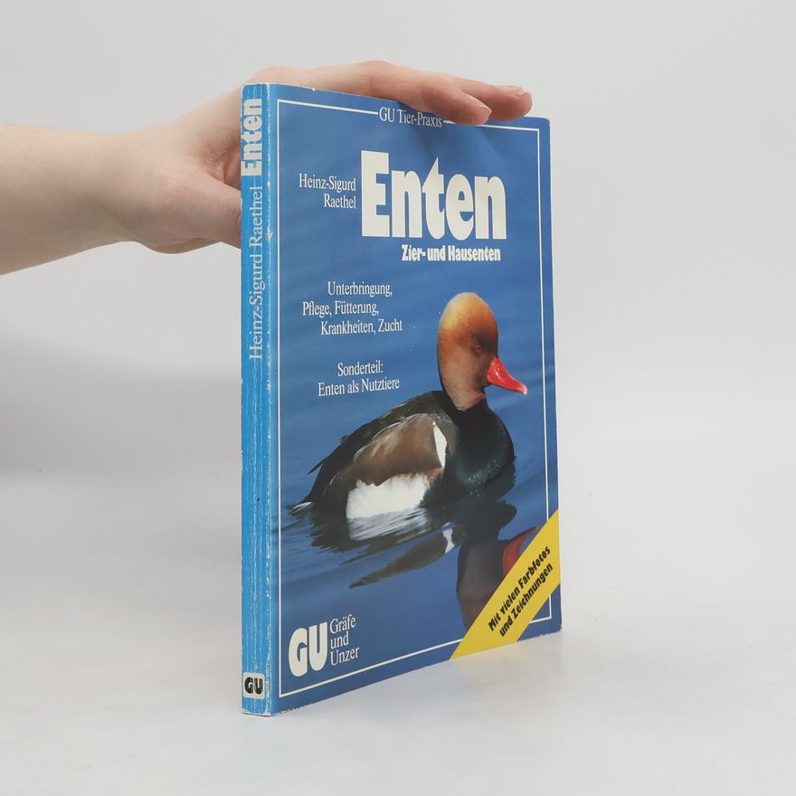 Heinz Sigurd Raethel Enten