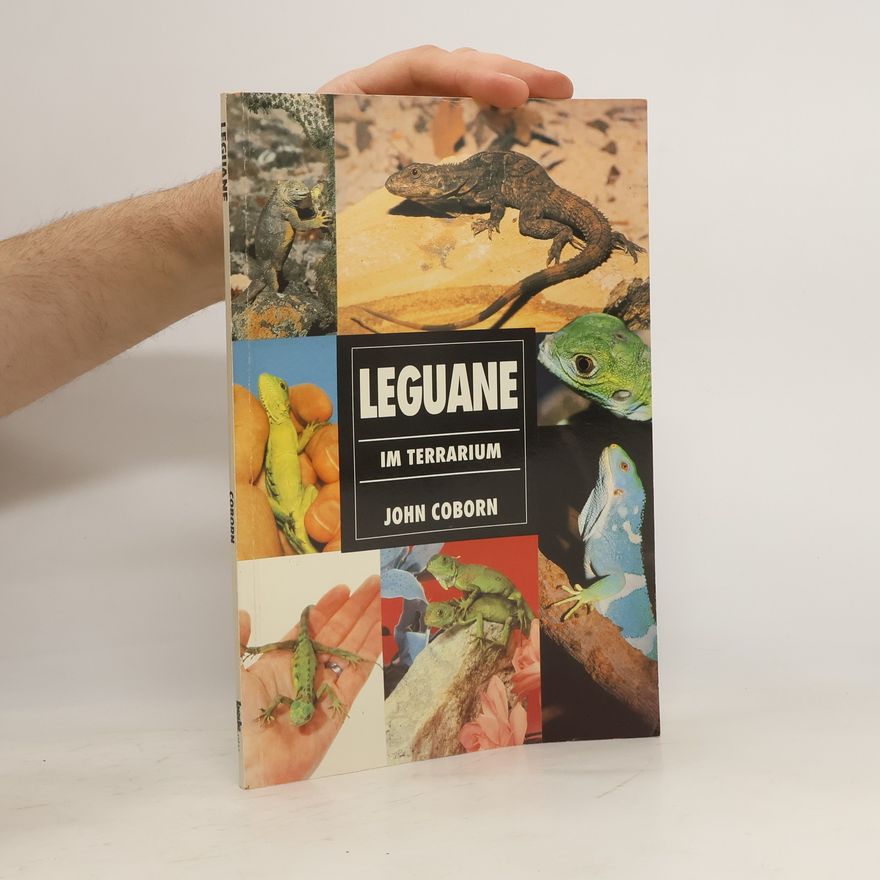 John Coborn Leguane im Terrarium