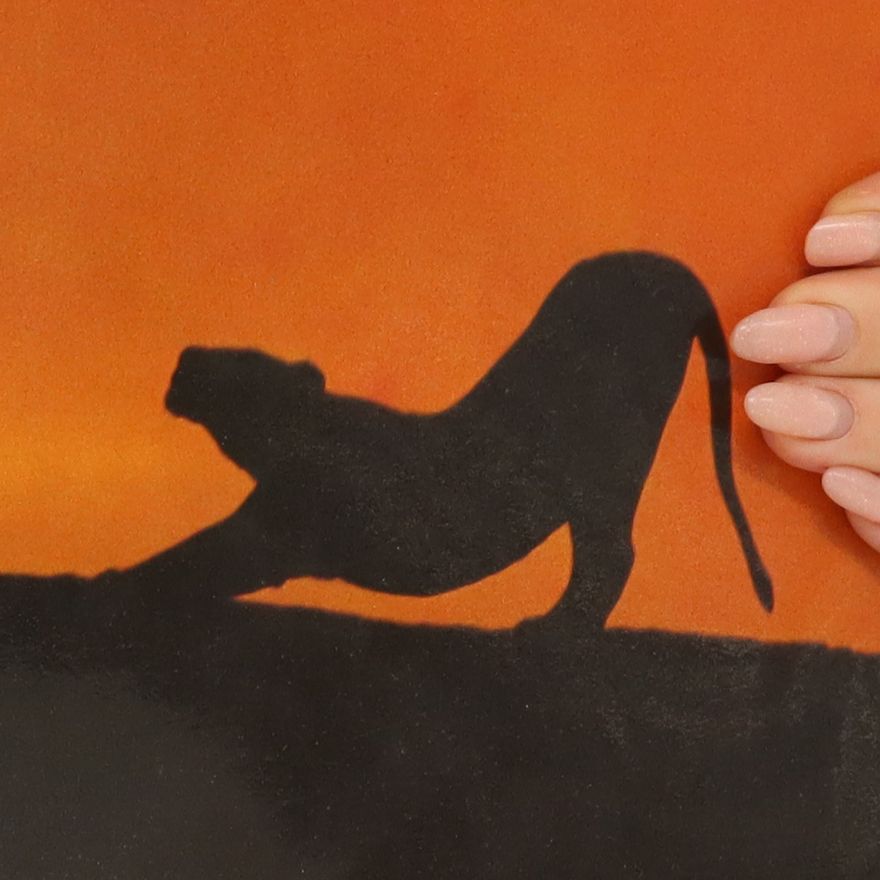 Reinhard Künkel Abenteuer Serengeti