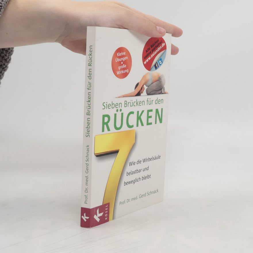 Gerd Schnack Sieben Brücken für den Rücken