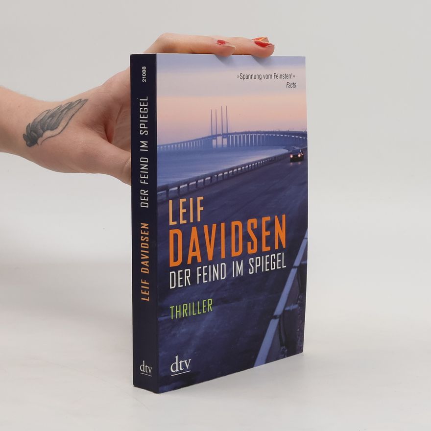 Leif Davidsen Der Feind im Spiegel
