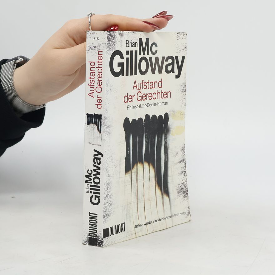 Brian McGilloway Aufstand der Gerechten