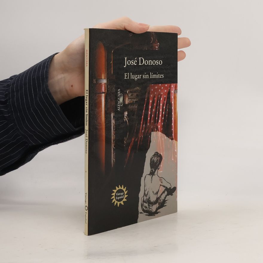 José Donoso El Lugar Sin Limites