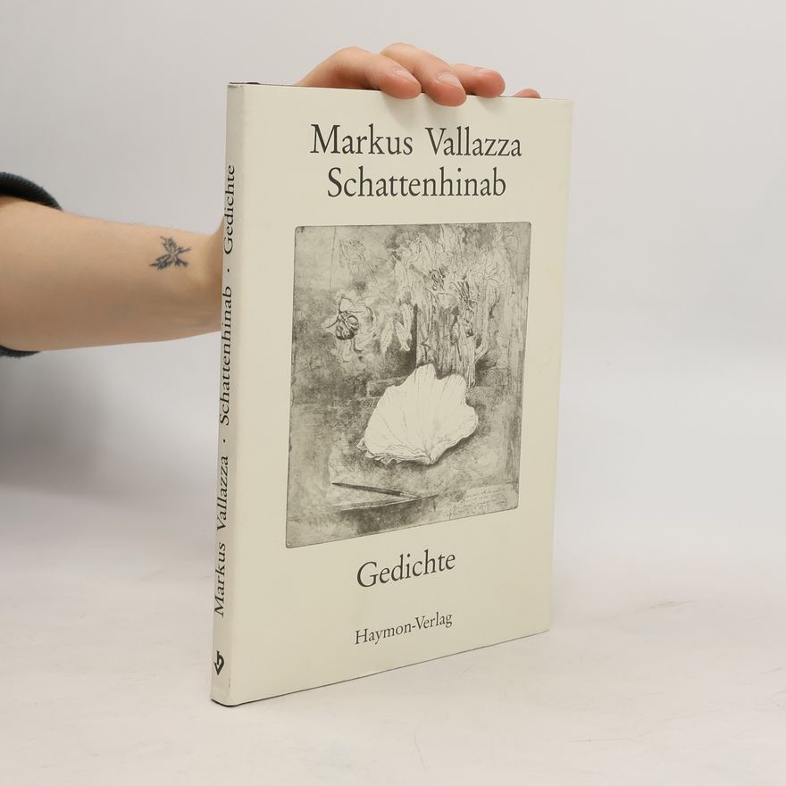 Markus Vallazza Schattenhinab