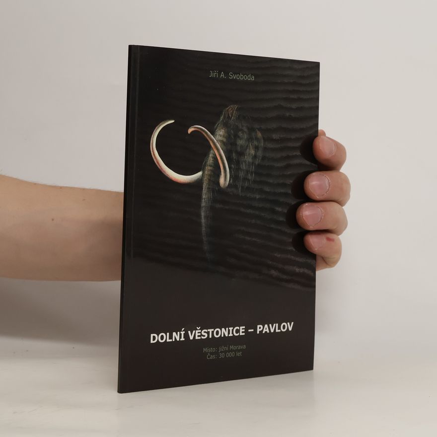 Jiří Svoboda Dolní Věstonice - Pavlov