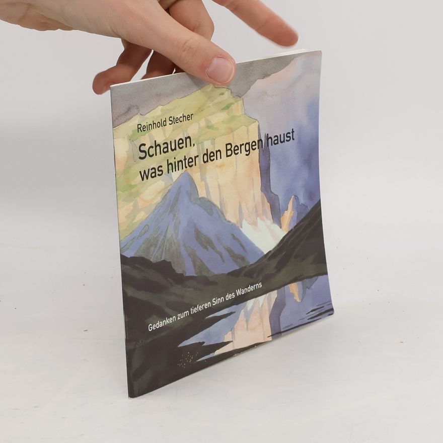 Reinhold Stecher Schauern, was hinter den Bergen haust
