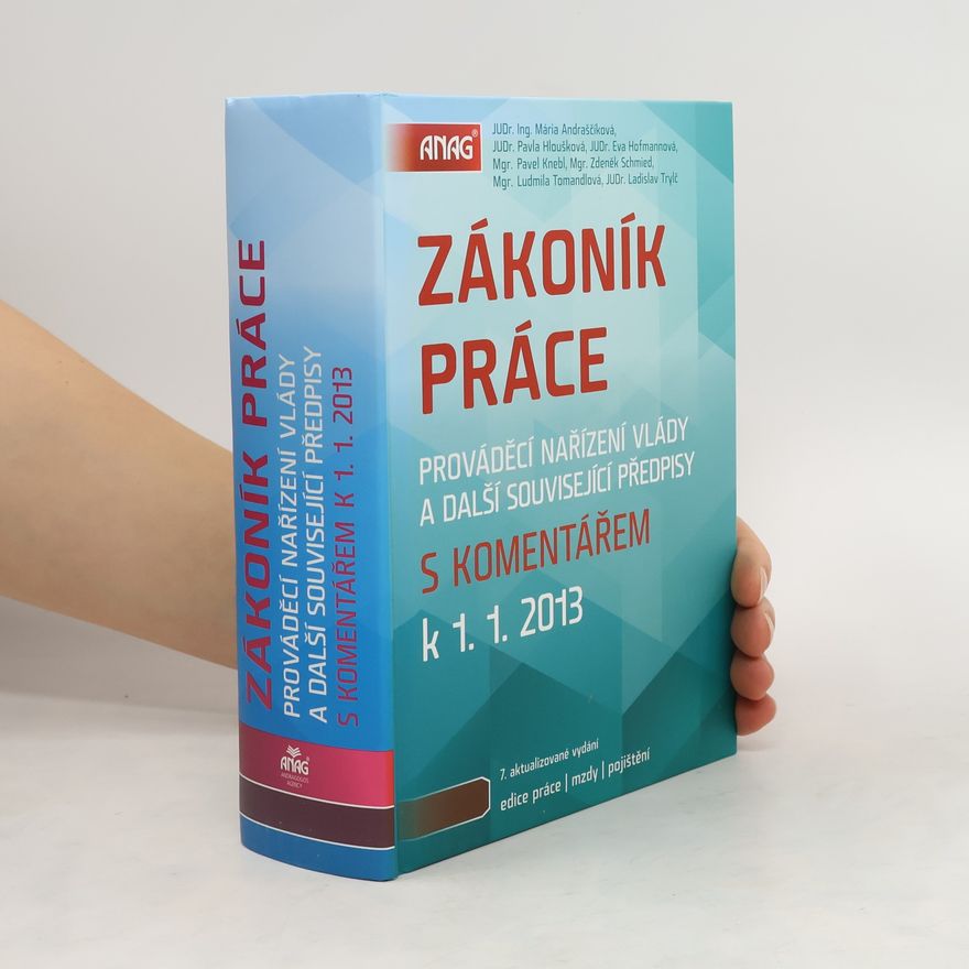 Kolektiv autorů Zákoník práce s komentářem k 1. 1. 2013