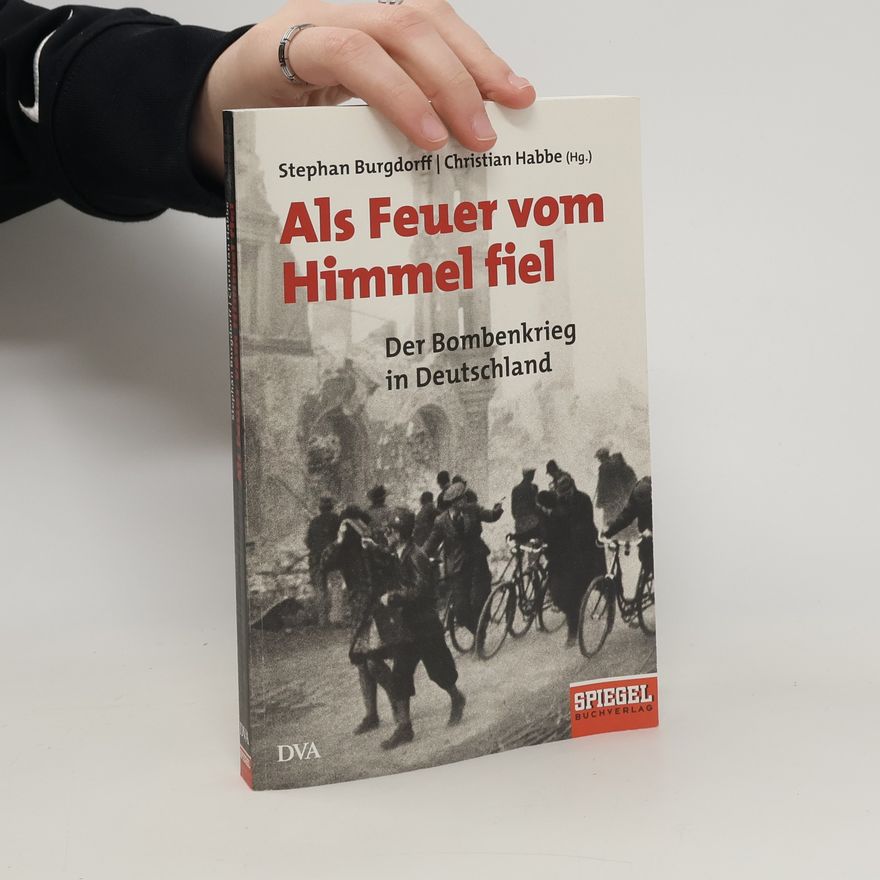 Stephan Burgdorff Als Feuer vom Himmel fiel