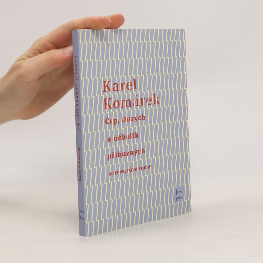 Karel Komárek Čep, Durych a několik příbuzných. Interpretační studie