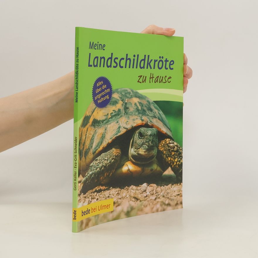 Autorenkollektiv Meine Landschildkröte zu Hause