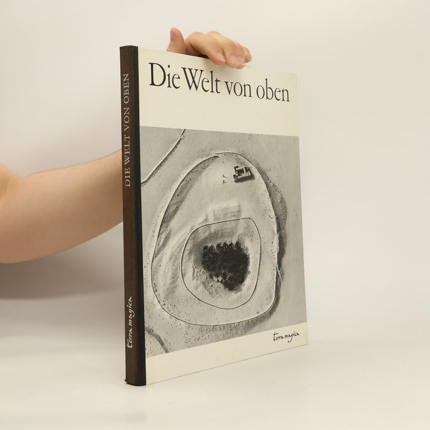 Hanns Reich Die Welt von oben