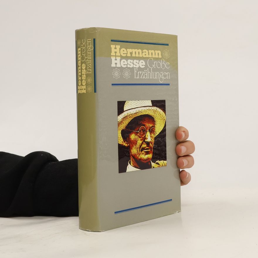 Hermann Hesse Große Erzählungen