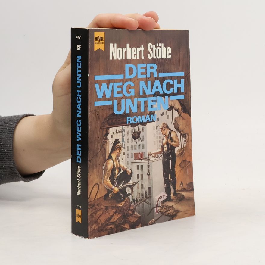 Norbert Stöbe Der Weg nach unten