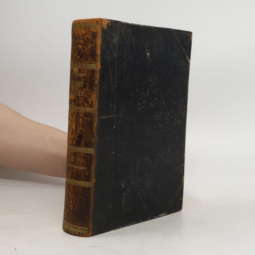 Johann Baptist Holzammer Biblischen Geschichte