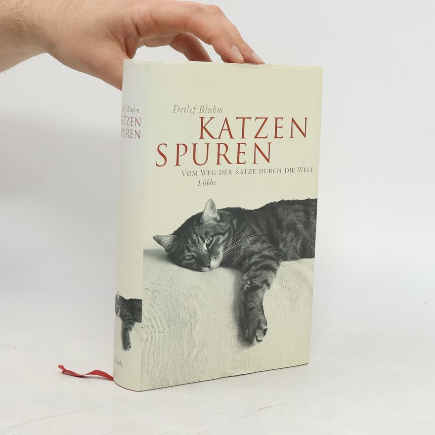 Detlef Bluhm Katzenspuren